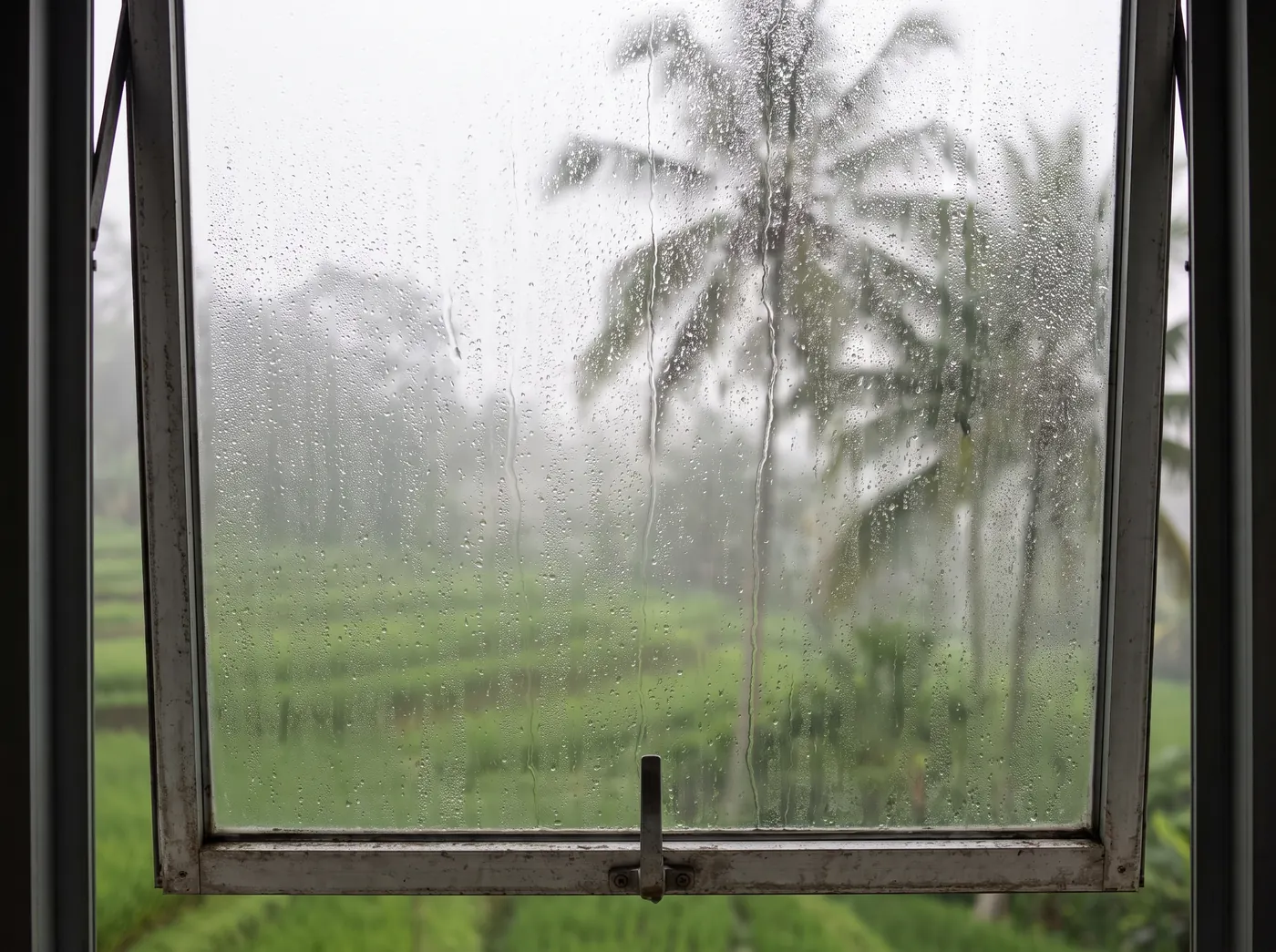 Water droplets on a single-glazed aluminium window on a humid morning, with blurred rice fields and coconut palms outside in Bali